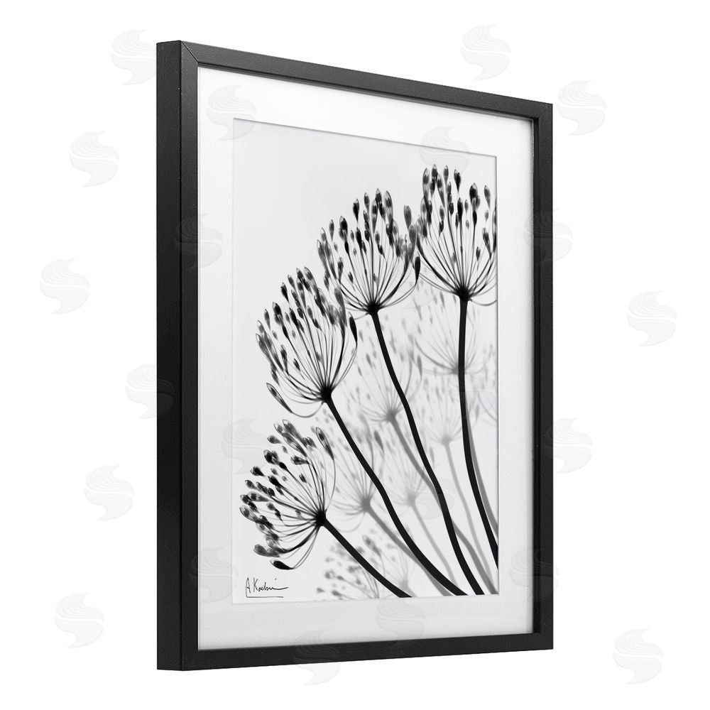 Albert Koetsier Floral Fan Dandelions Black Framed Print Under Glass Wall Art