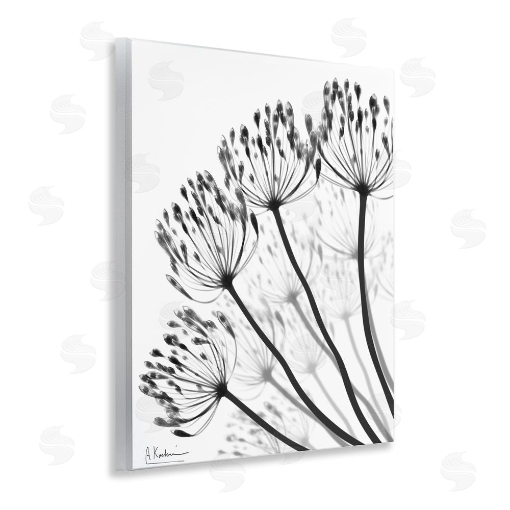 Albert Koetsier Floral Fan Dandelions Wooden Wall Plaque Art Print