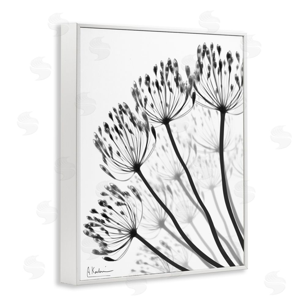 Albert Koetsier Floral Fan Dandelions White Framed Giclee Wall Art Print