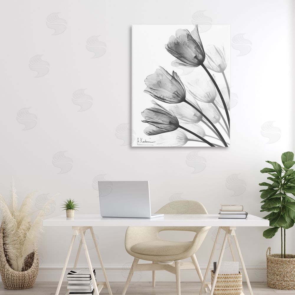 Albert Koetsier Minimalist Tulip Fan 