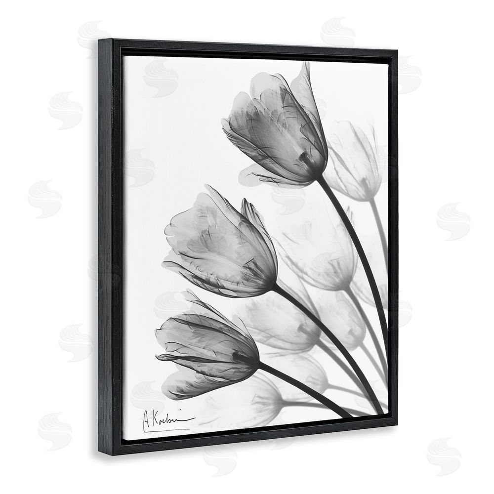 Albert Koetsier Minimalist Tulip Fan Black Floating Frame Canvas Wall Art Print