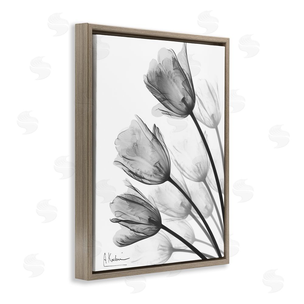 Albert Koetsier Minimalist Tulip Fan Brown Floating Frame Canvas Wall Art Print