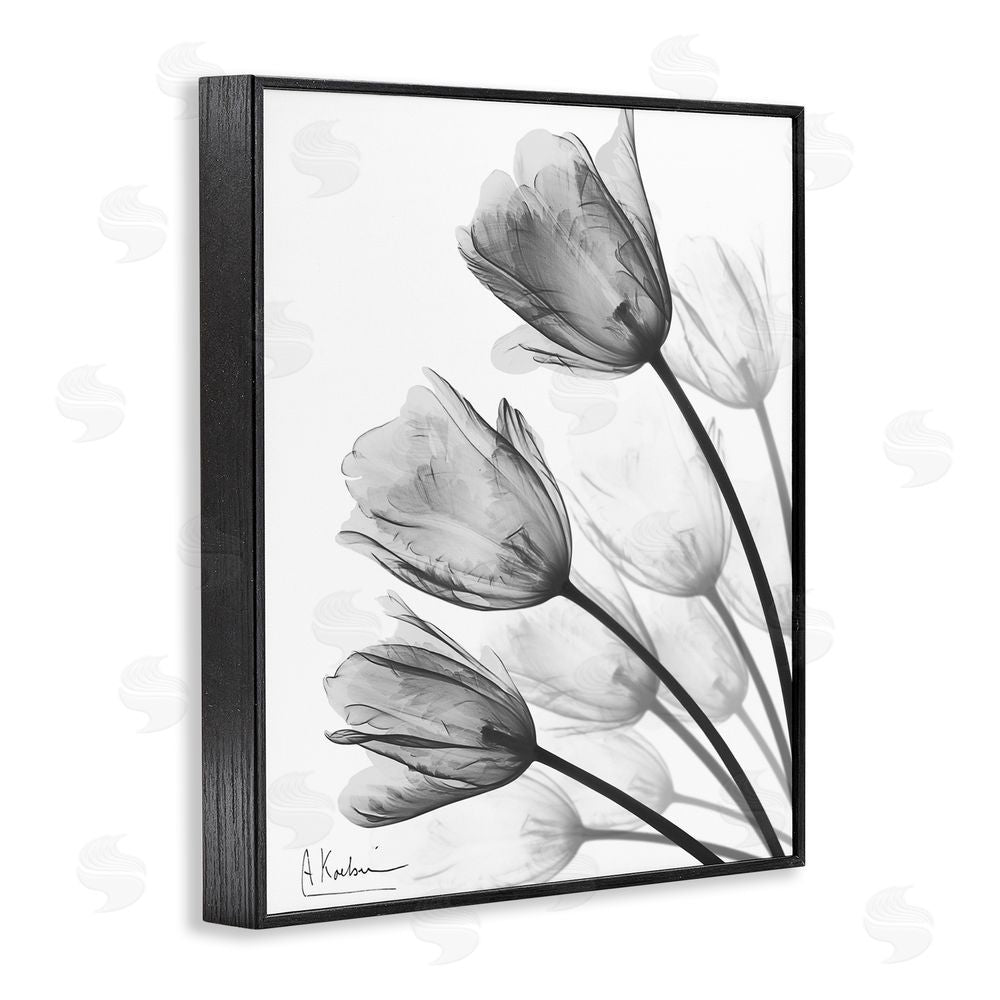Albert Koetsier Minimalist Tulip Fan Black Framed Giclee Wall Art Print