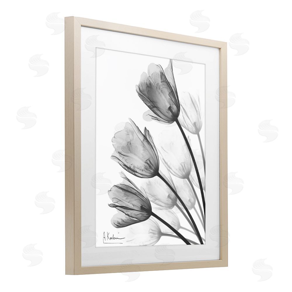 Albert Koetsier Minimalist Tulip Fan Brown Framed Print Under Glass Wall Art