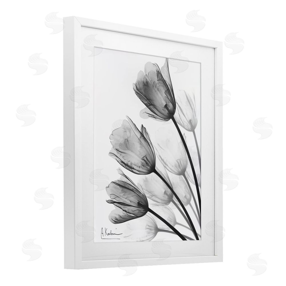Albert Koetsier Minimalist Tulip Fan White Framed Print Under Glass Wall Art