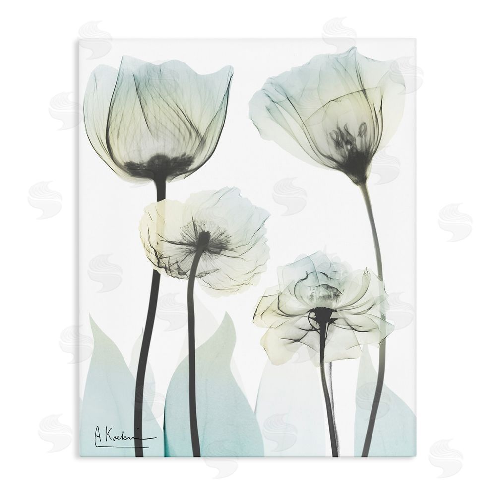 Albert Koetsier Floral Luxury Of Creation Stretched Canvas Wall Art Print
