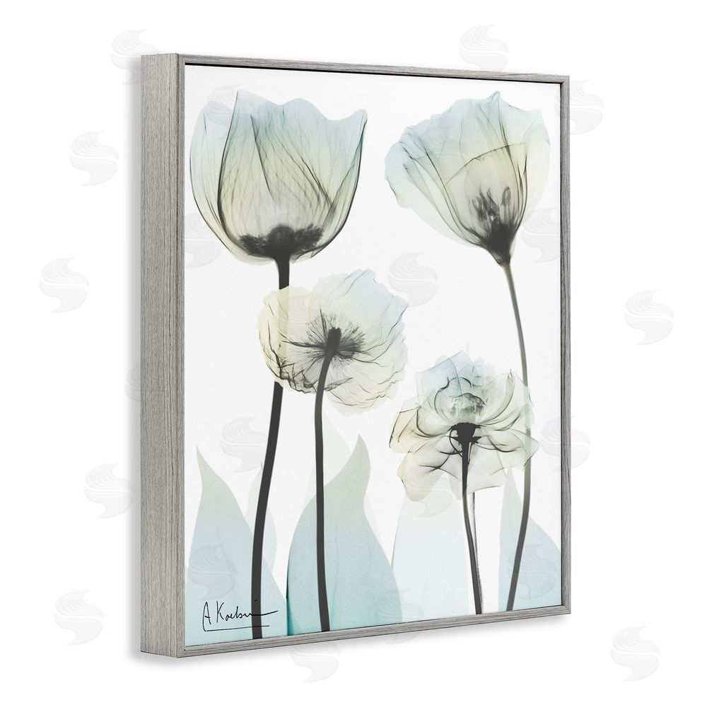 Albert Koetsier Floral Luxury Of Creation Gray Framed Giclee Wall Art Print