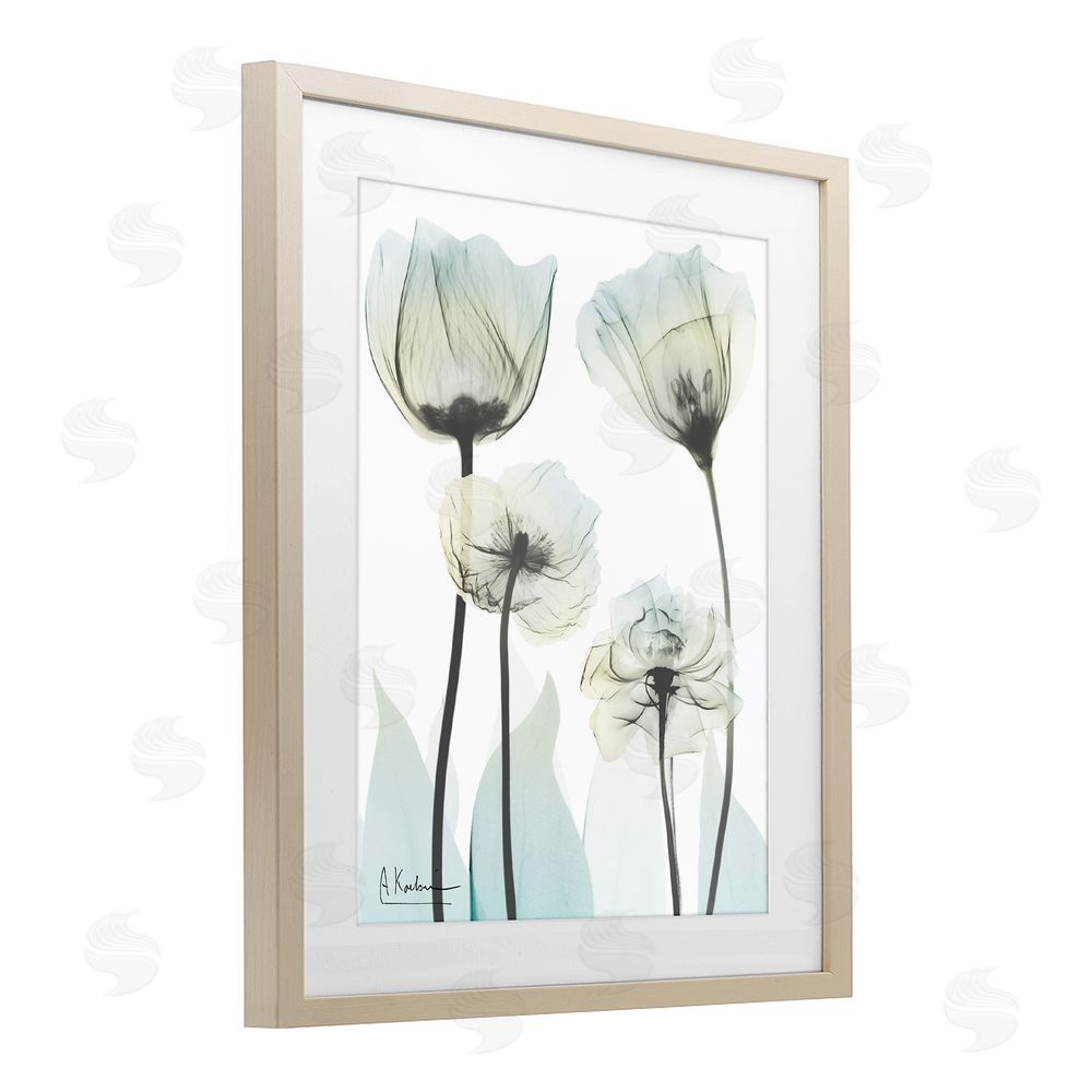 Albert Koetsier Floral Luxury Of Creation Brown Framed Print Under Glass Wall Art