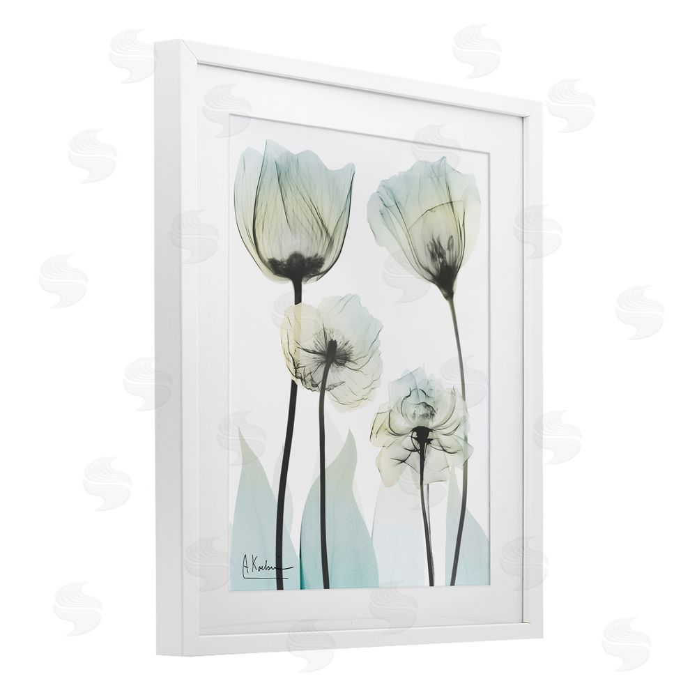 Albert Koetsier Floral Luxury Of Creation White Framed Print Under Glass Wall Art