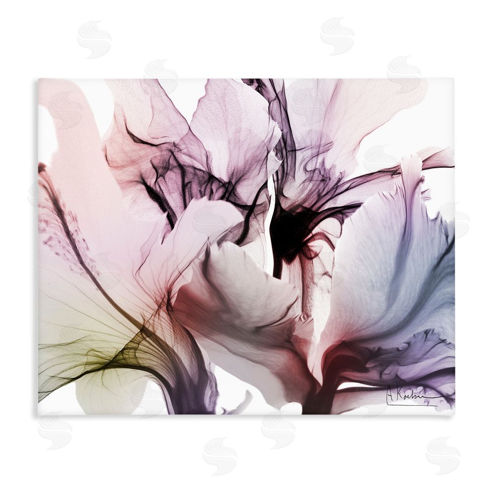 Albert Koetsier Brilliant Song Flower Petals Stretched Canvas Wall Art Print