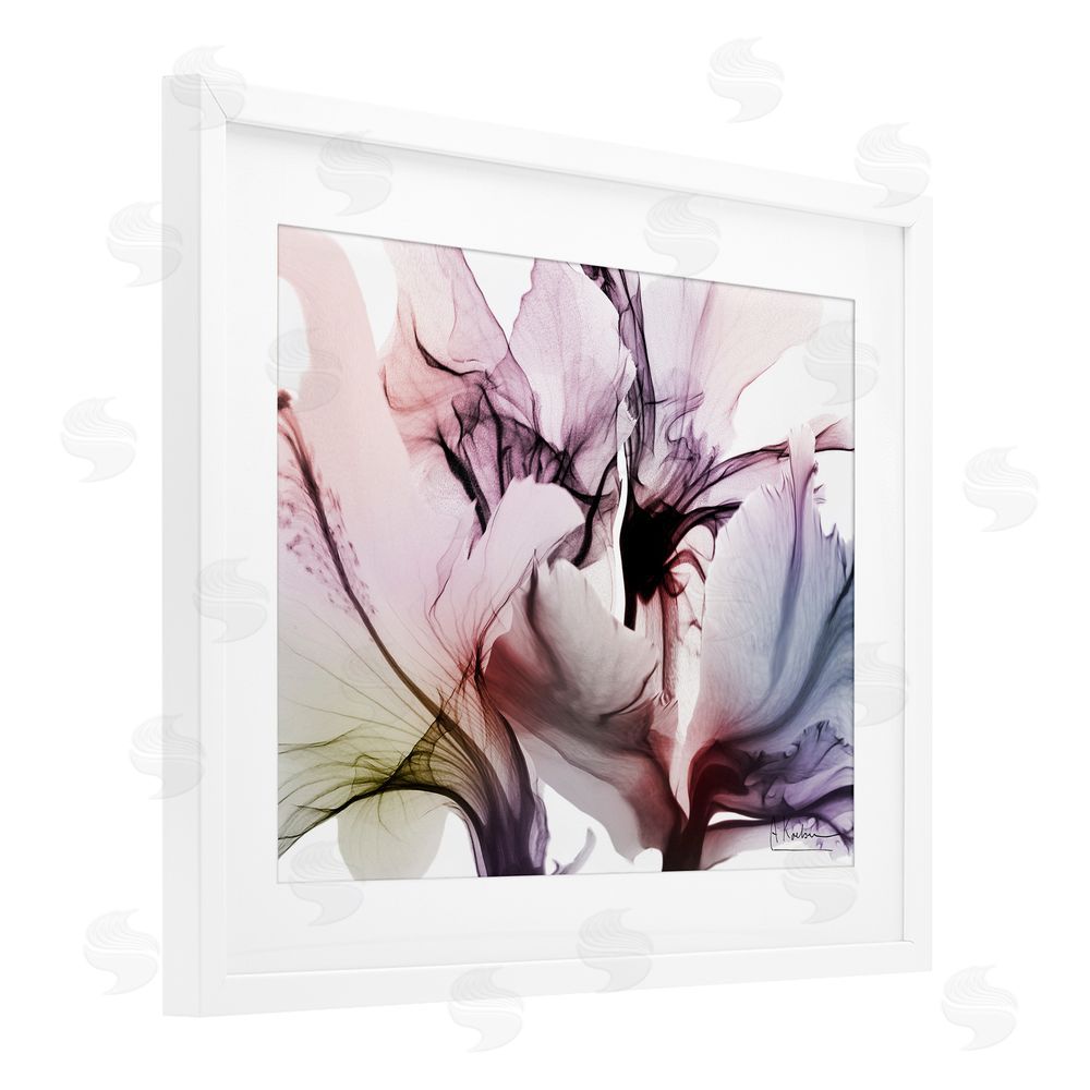 Albert Koetsier Brilliant Song Flower Petals White Framed Print Under Glass Wall Art