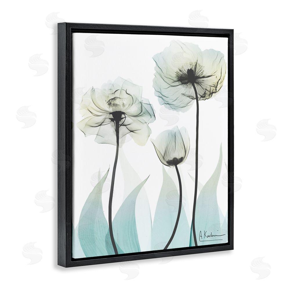 Albert Koetsier Luxury Of Creation Black Floating Frame Canvas Wall Art Print