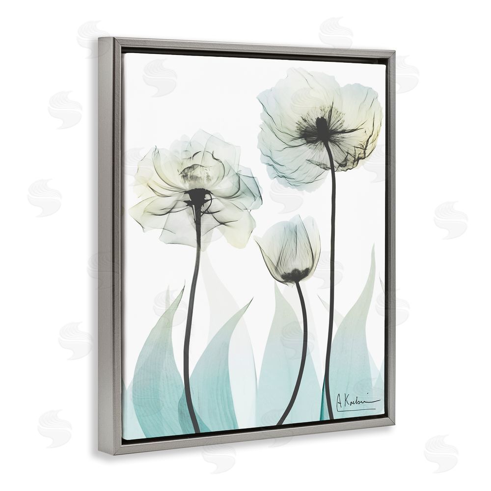 Albert Koetsier Luxury Of Creation Gray Floating Frame Canvas Wall Art Print