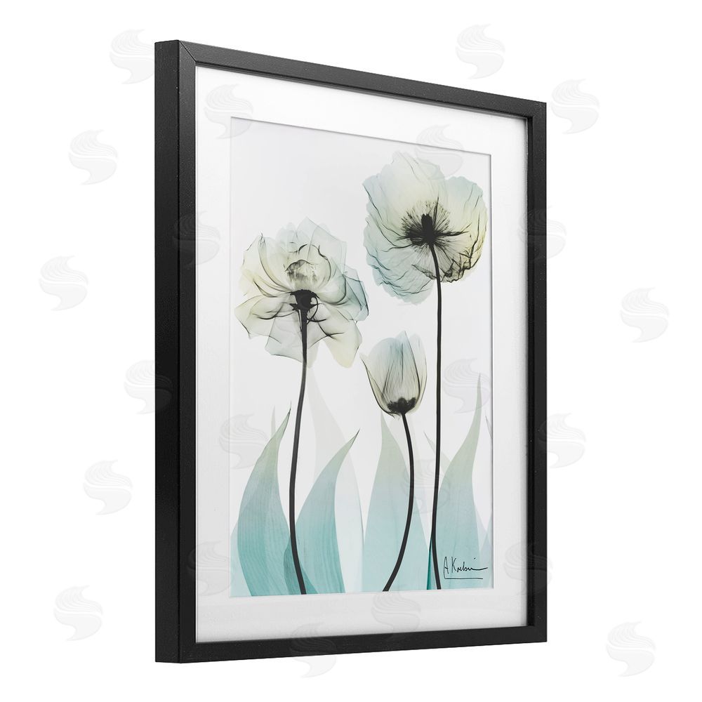 Albert Koetsier Luxury Of Creation Black Framed Print Under Glass Wall Art