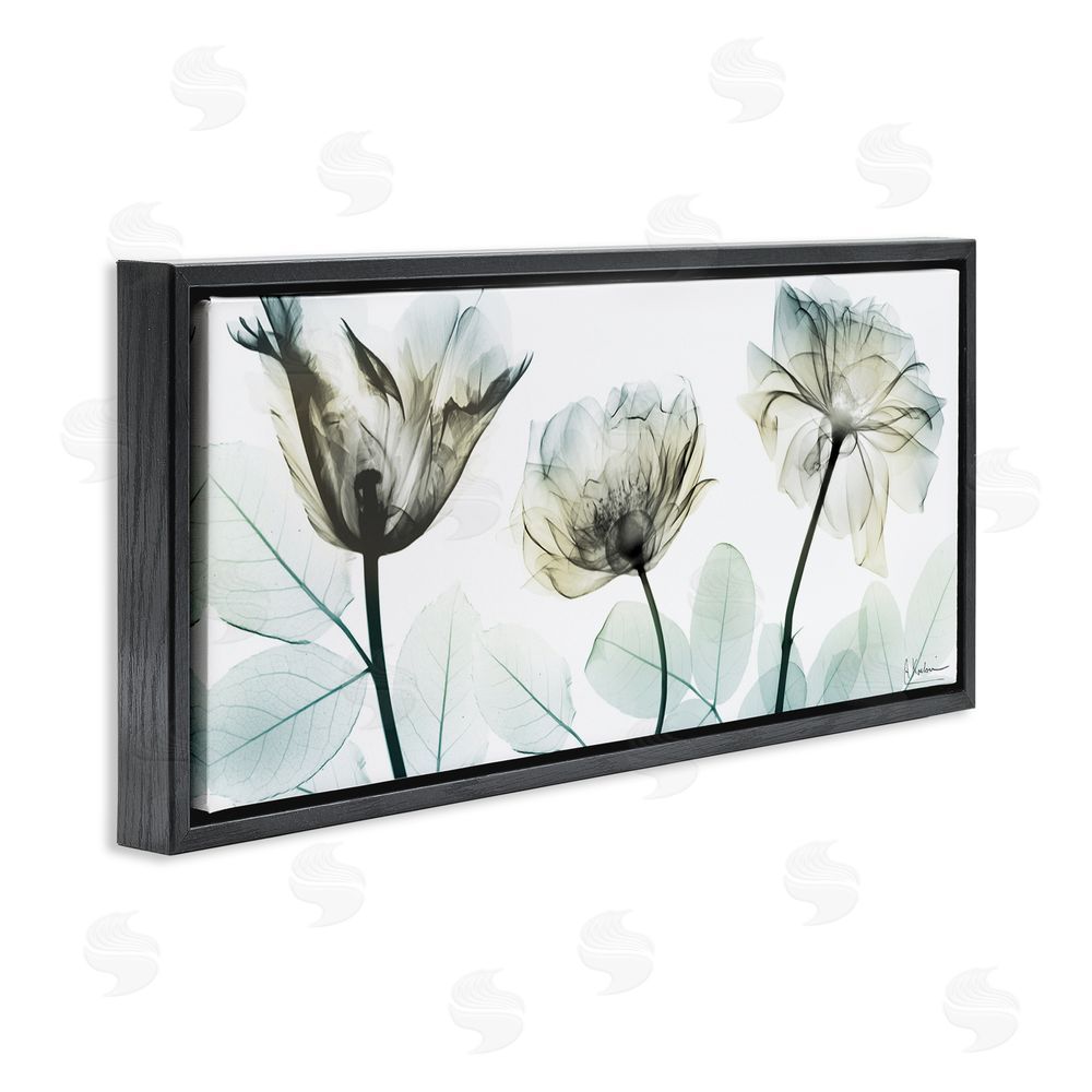 Albert Koetsier Jewel of Passion Flowers Black Floating Frame Canvas Wall Art Print