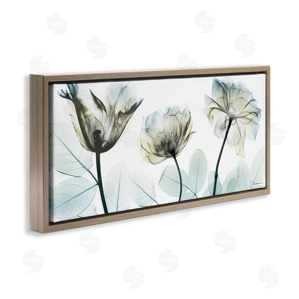Albert Koetsier Jewel of Passion Flowers Brown Floating Frame Canvas Wall Art Print