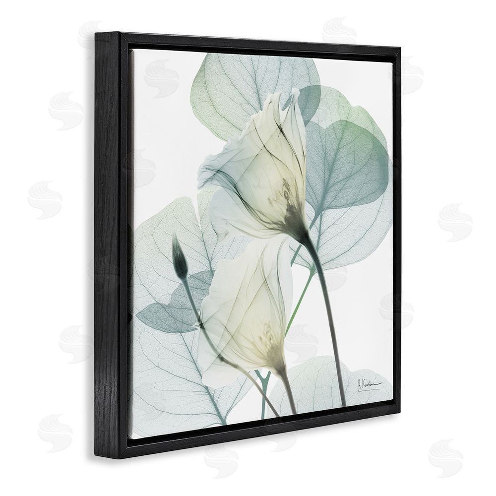 Albert Koetsier Divine Fate Petals Black Floating Frame Canvas Wall Art Print