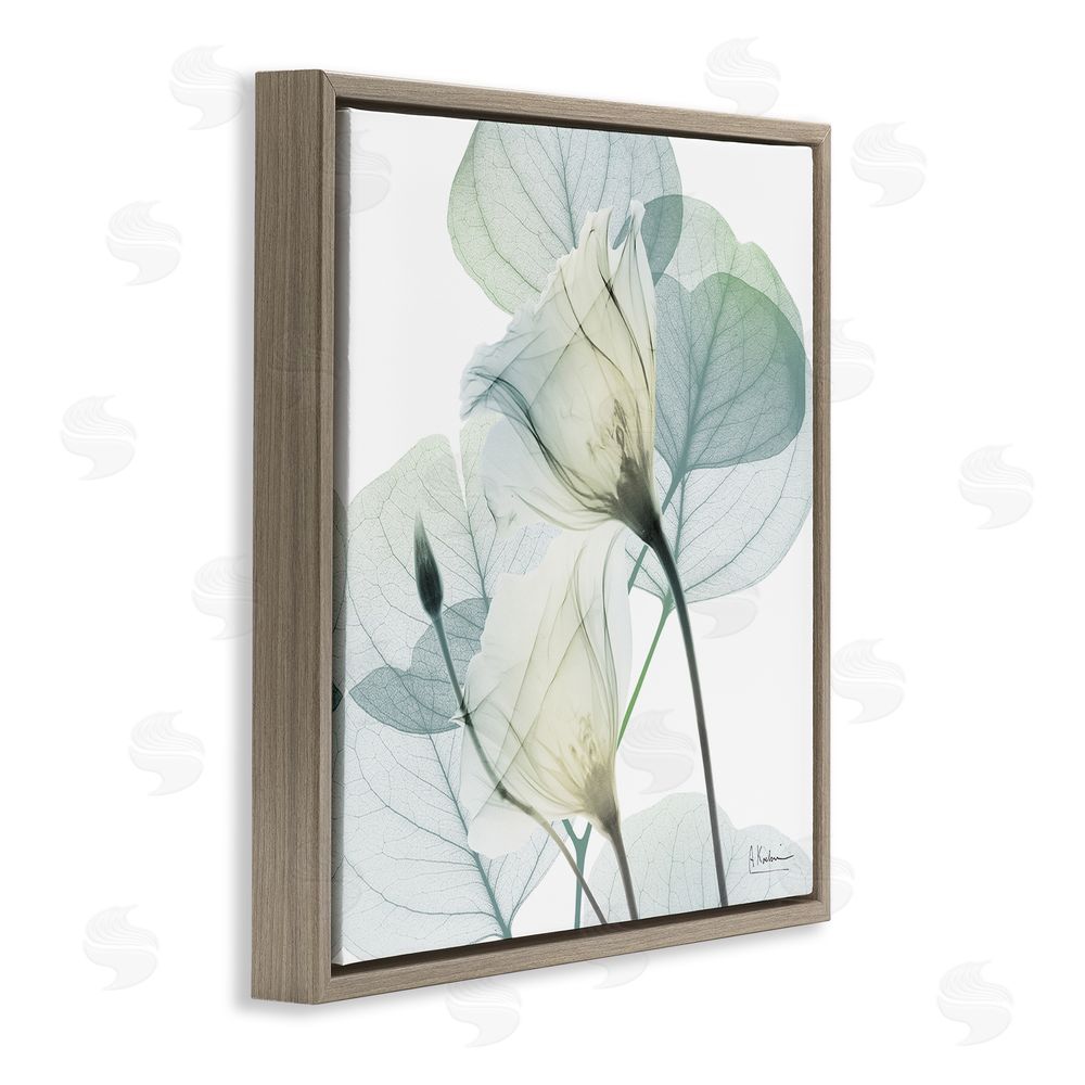 Albert Koetsier Divine Fate Petals Brown Floating Frame Canvas Wall Art Print