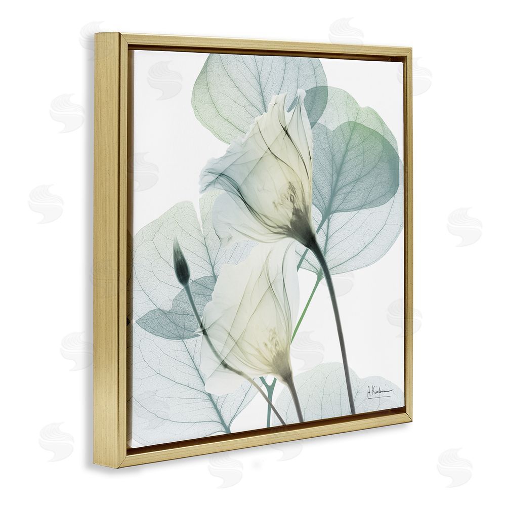 Albert Koetsier Divine Fate Petals Gold Floating Frame Canvas Wall Art Print