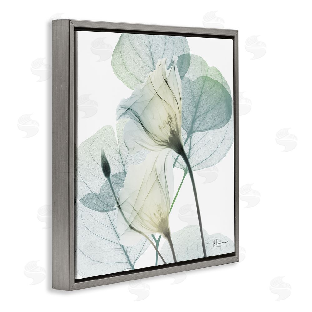 Albert Koetsier Divine Fate Petals Gray Floating Frame Canvas Wall Art Print