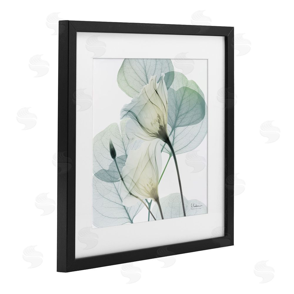 Albert Koetsier Divine Fate Petals Black Framed Print Under Glass Wall Art