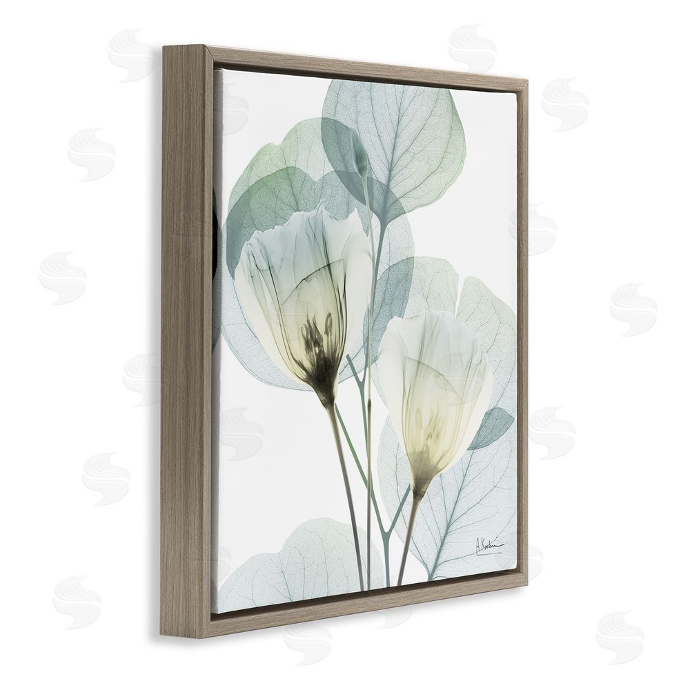 Albert Koetsier Divine Fate Flower Leaves Brown Floating Frame Canvas Wall Art Print