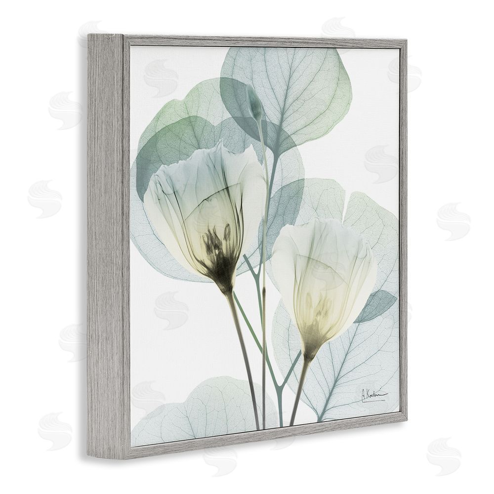 Albert Koetsier Divine Fate Flower Leaves Gray Framed Giclee Wall Art Print