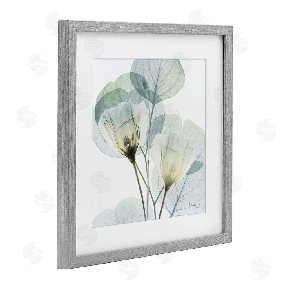 Albert Koetsier Divine Fate Flower Leaves Gray Framed Print Under Glass Wall Art