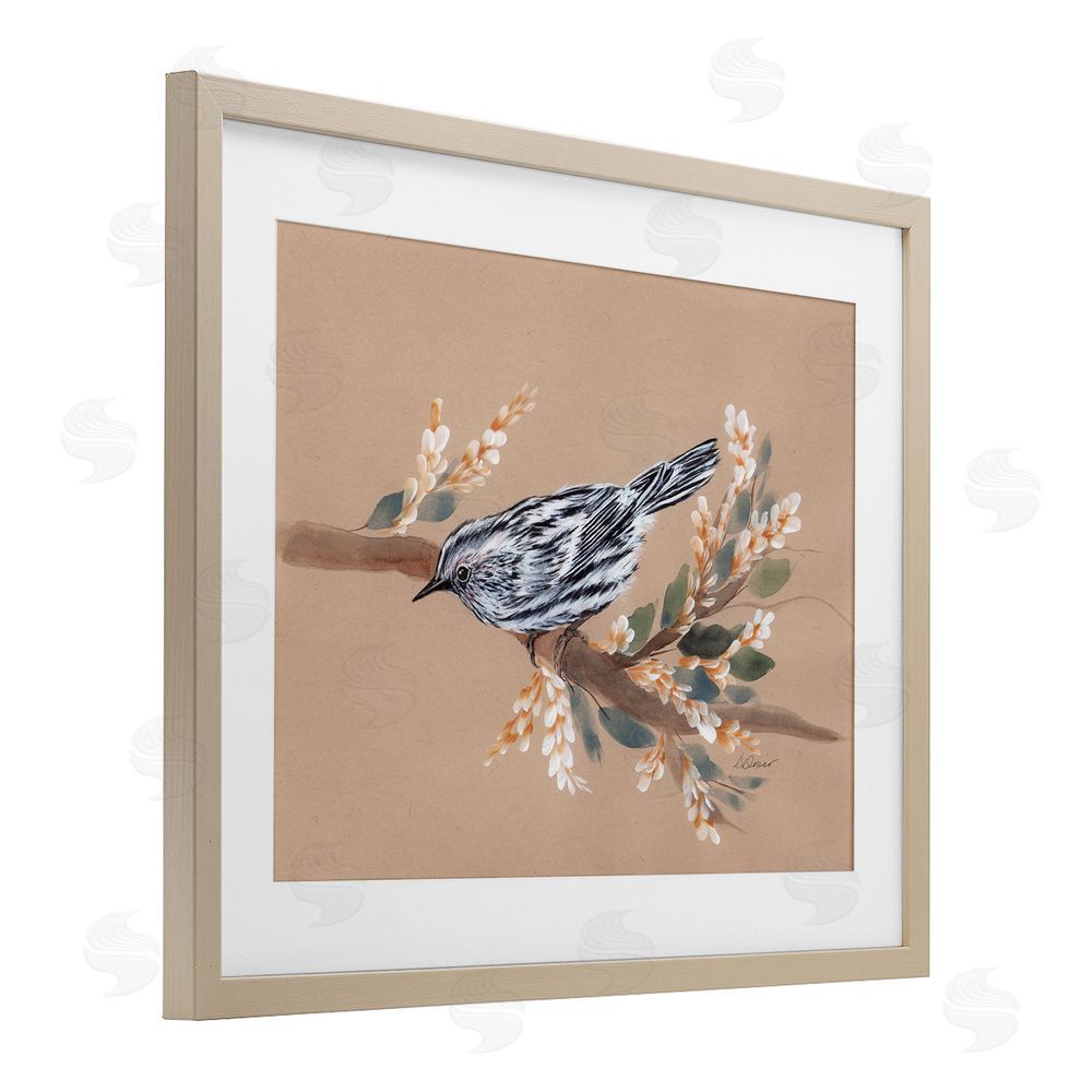 Cady Driver Bird on Delicate Branch Birch Framed Print Under Glass with White Mat Wall Art