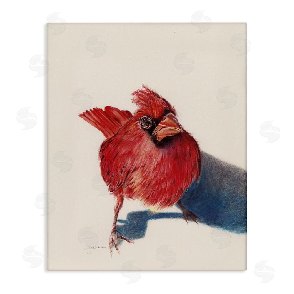 Cady Driver Standing Cardinal Bird Canvas Wall Art Print