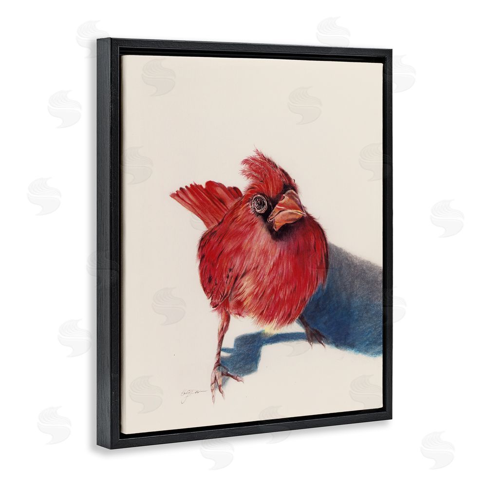 Cady Driver Standing Cardinal Bird Black Floating Frame Canvas Wall Art Print