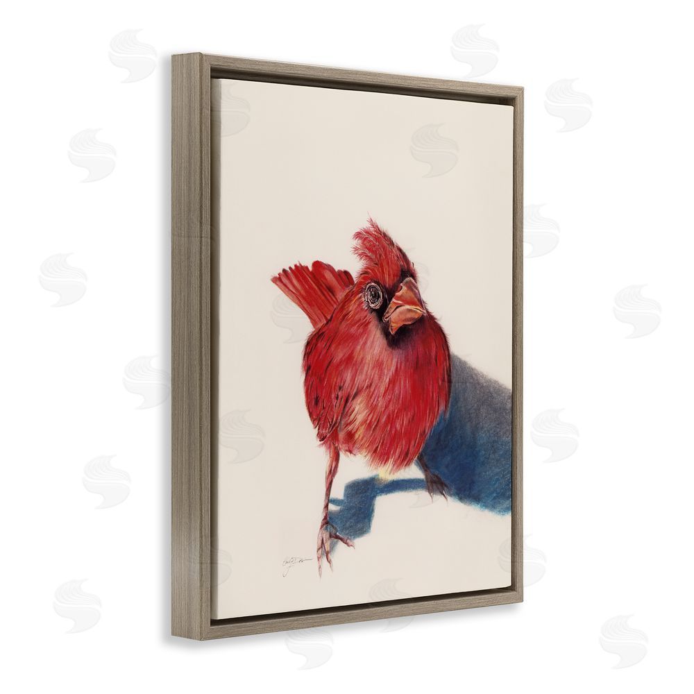 Cady Driver Standing Cardinal Bird Brown Floating Frame Canvas Wall Art Print
