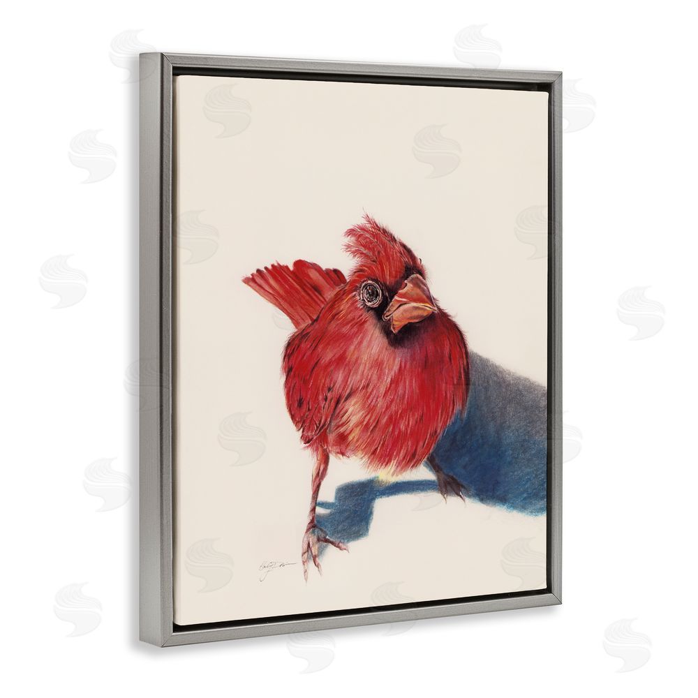 Cady Driver Standing Cardinal Bird Gray Floating Frame Canvas Wall Art Print