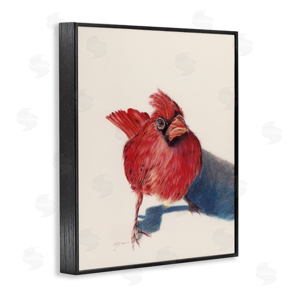 Cady Driver Standing Cardinal Bird Black Framed Giclee Wall Art Print