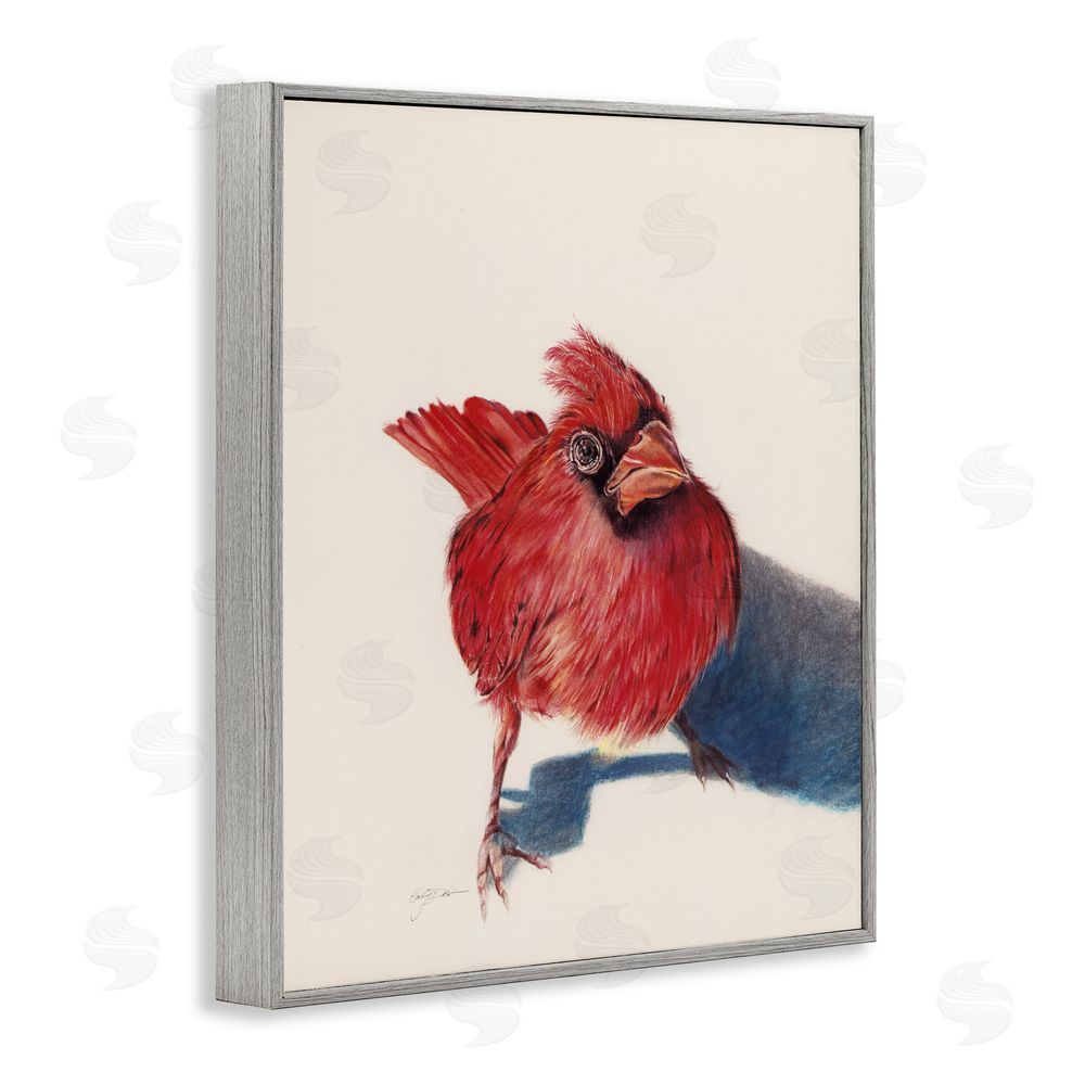 Cady Driver Standing Cardinal Bird Gray Framed Giclee Wall Art Print