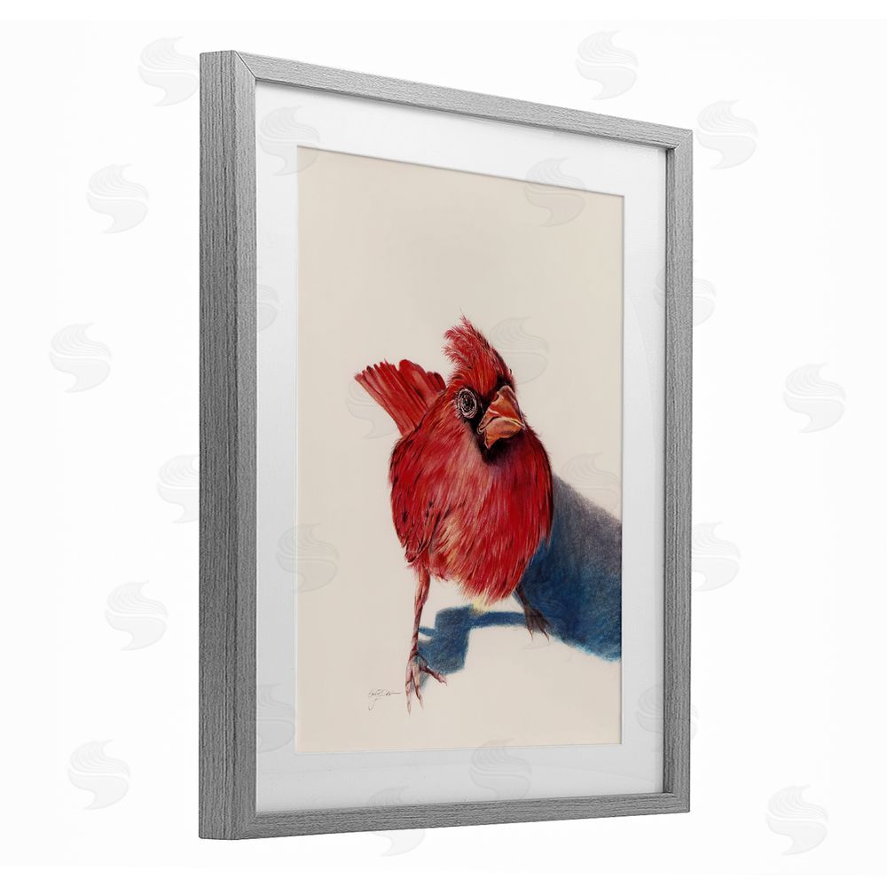 Cady Driver Standing Cardinal Bird Gray Framed Print Under Glass with White Mat Wall Art