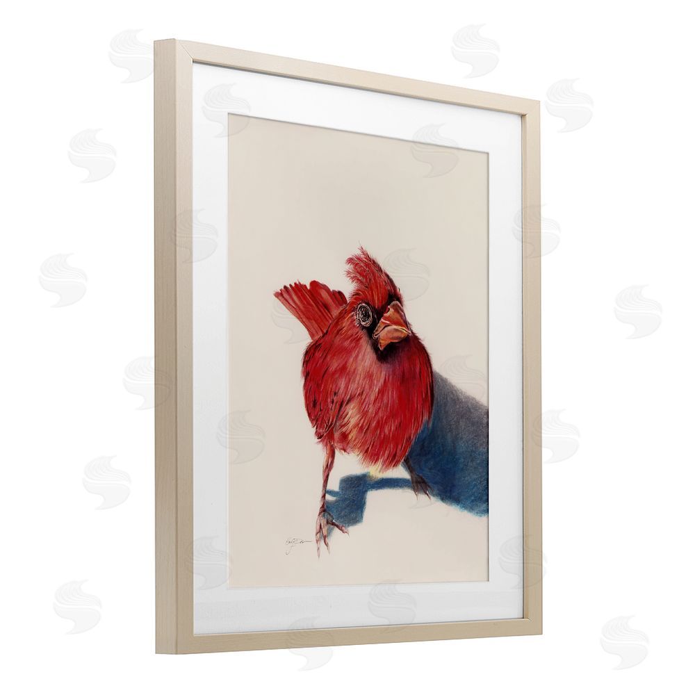 Cady Driver Standing Cardinal Bird Birch Framed Print Under Glass with White Mat Wall Art