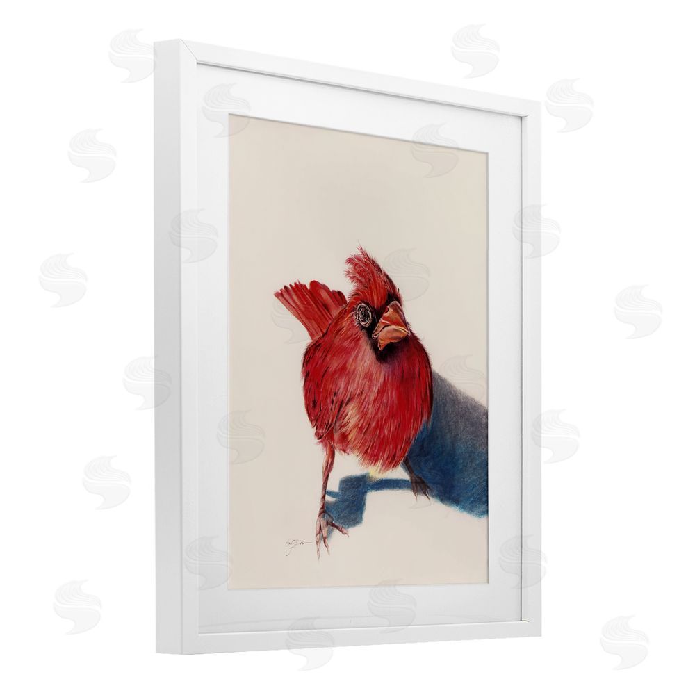 Cady Driver Standing Cardinal Bird White Framed Print Under Glass with Mat Wall Art