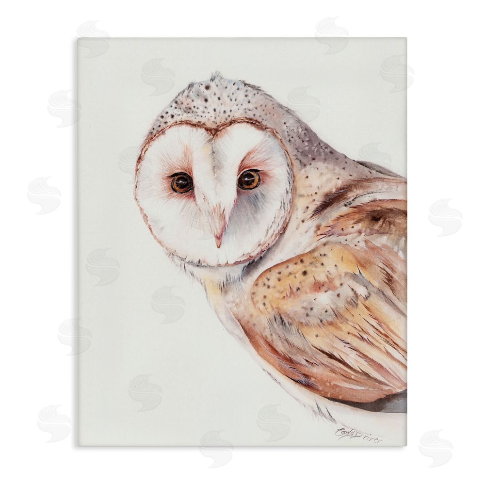 Cady Driver Peeking Barn Owl Gaze Canvas Wall Art Print