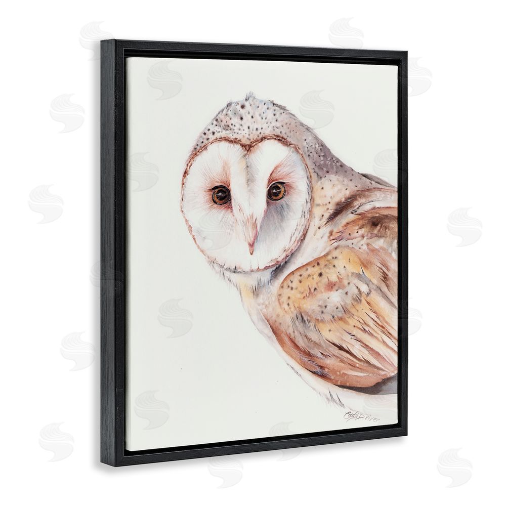 Cady Driver Peeking Barn Owl Gaze Black Floating Frame Canvas Wall Art Print