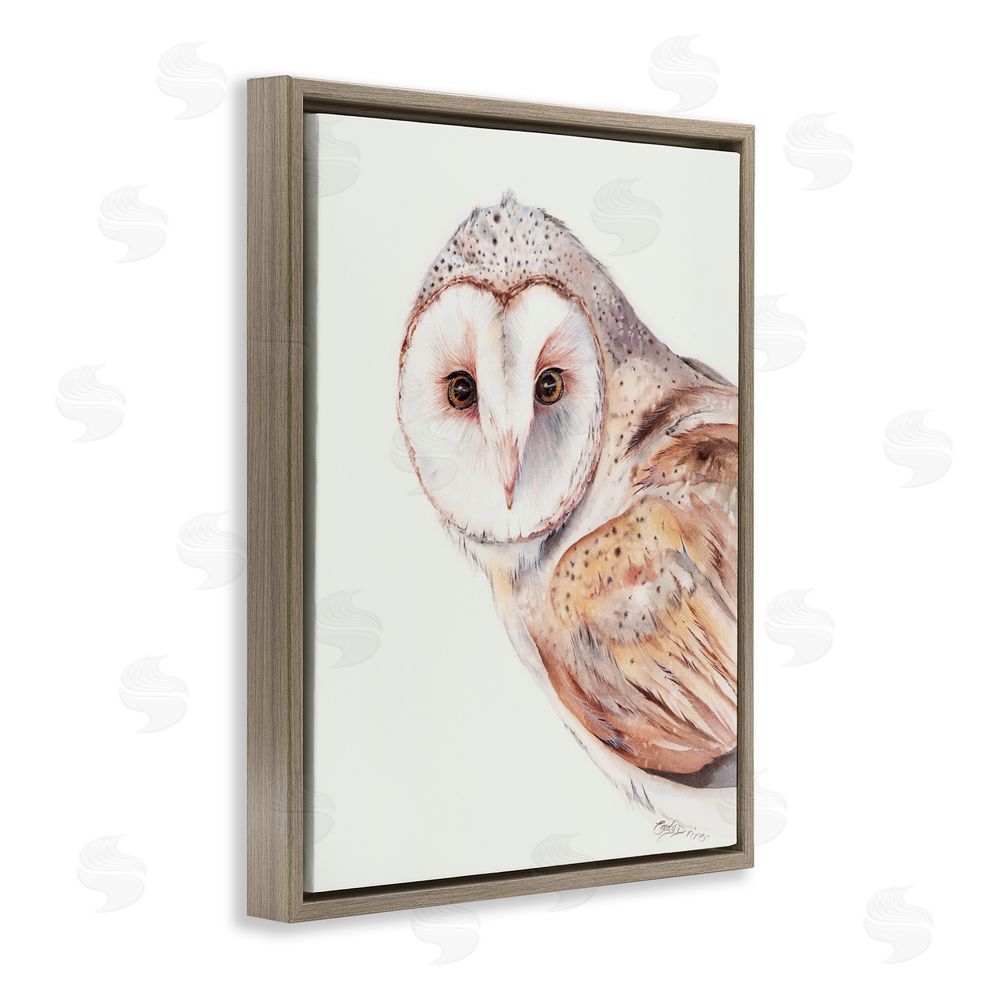 Cady Driver Peeking Barn Owl Gaze Brown Floating Frame Canvas Wall Art Print