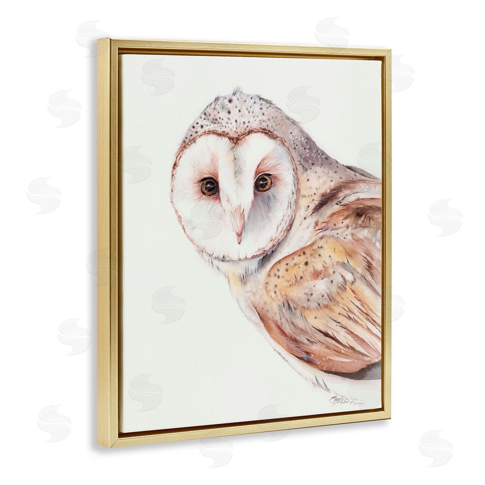 Cady Driver Peeking Barn Owl Gaze Gold Floating Frame Canvas Wall Art Print