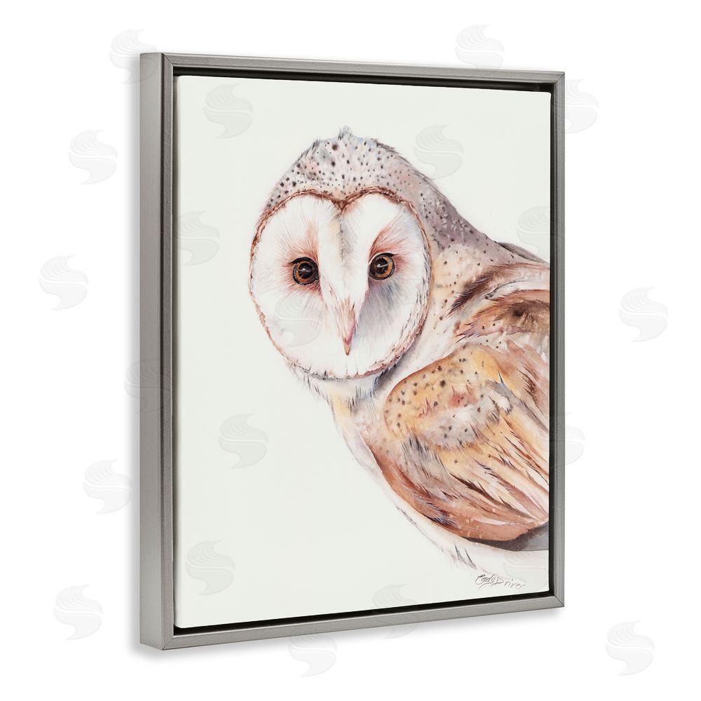 Cady Driver Peeking Barn Owl Gaze Gray Floating Frame Canvas Wall Art Print