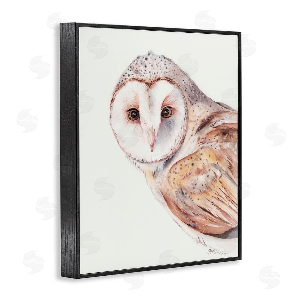 Cady Driver Peeking Barn Owl Gaze Black Framed Giclee Wall Art Print