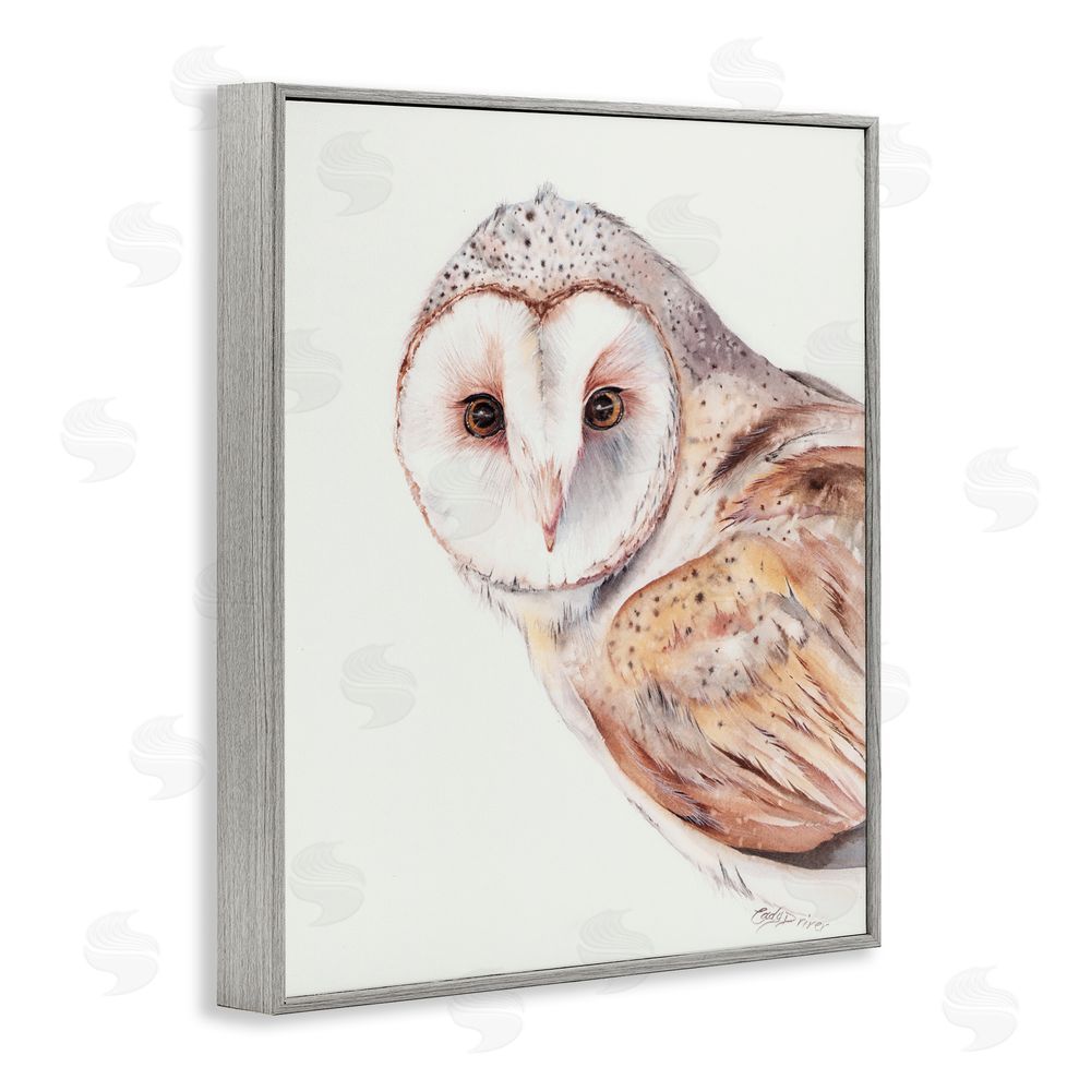 Cady Driver Peeking Barn Owl Gaze Gray Framed Giclee Wall Art Print