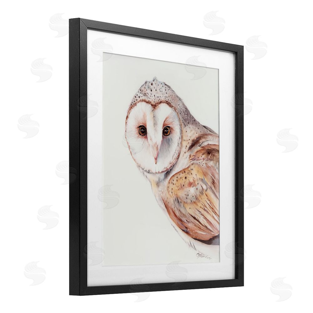 Cady Driver Peeking Barn Owl Gaze Black Framed Print Under Glass with White Mat Wall Art