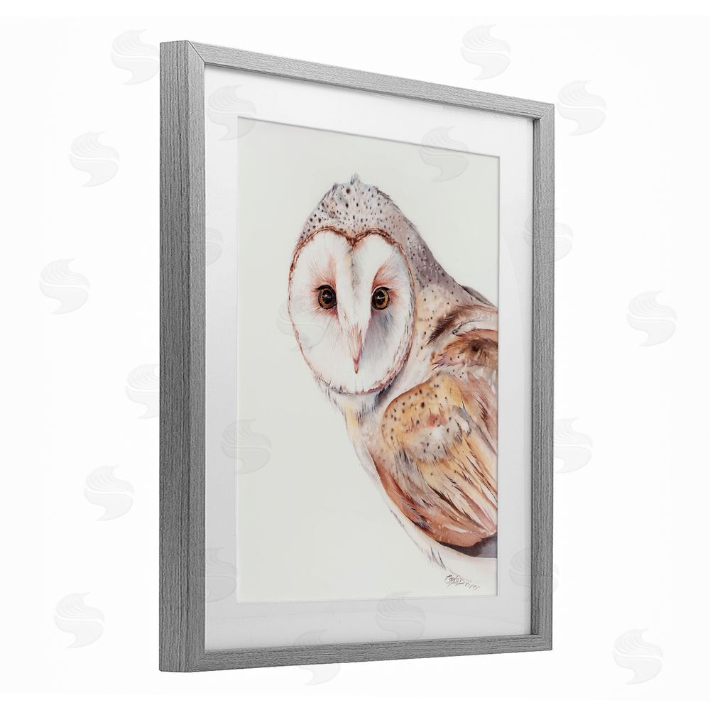 Cady Driver Peeking Barn Owl Gaze Gray Framed Print Under Glass with White Mat Wall Art