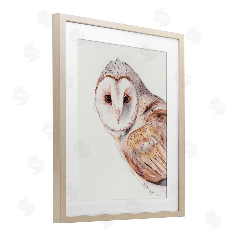 Cady Driver Peeking Barn Owl Gaze Birch Framed Print Under Glass with White Mat Wall Art