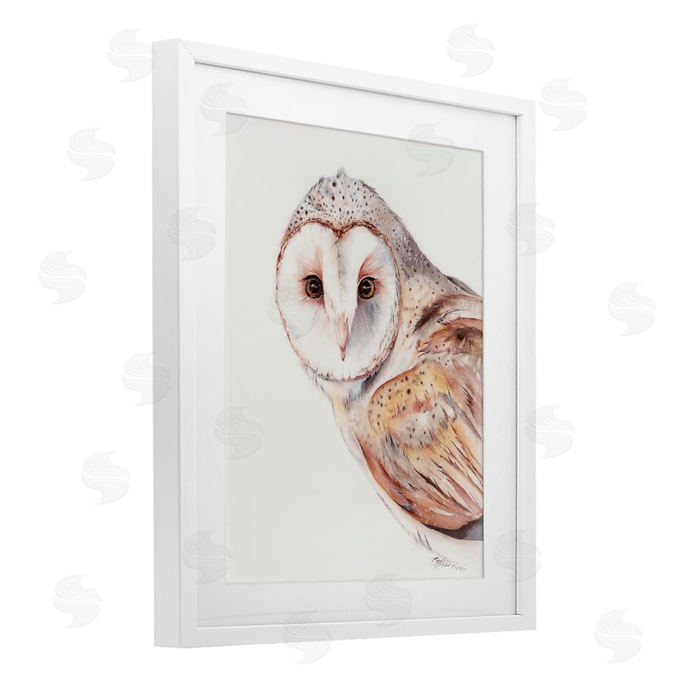 Cady Driver Peeking Barn Owl Gaze White Framed Print Under Glass with Mat Wall Art