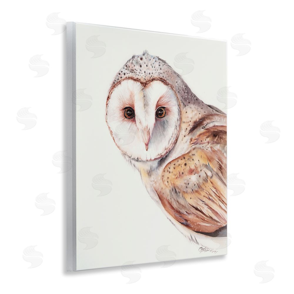 Cady Driver Peeking Barn Owl Gaze Wall Plaque Art Print